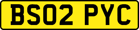 BS02PYC