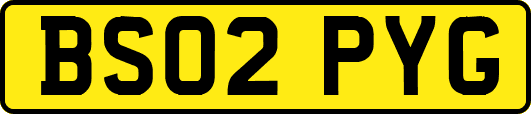 BS02PYG