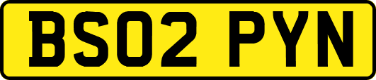 BS02PYN