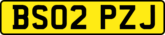 BS02PZJ