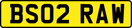 BS02RAW