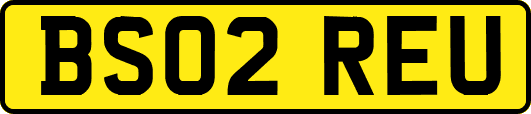BS02REU
