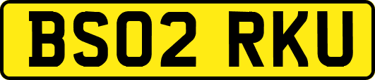 BS02RKU