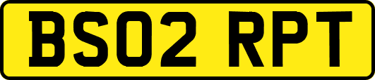 BS02RPT