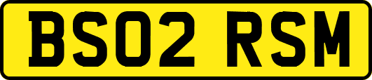 BS02RSM