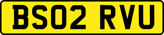 BS02RVU