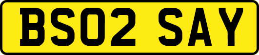BS02SAY