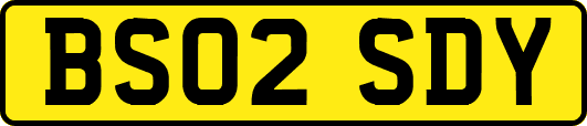 BS02SDY