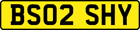 BS02SHY