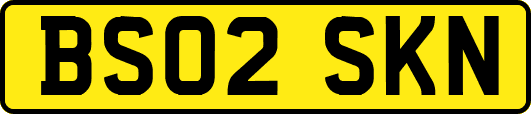 BS02SKN