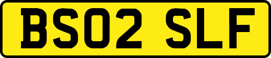BS02SLF