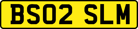 BS02SLM