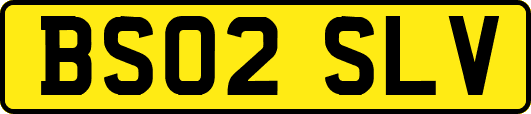 BS02SLV
