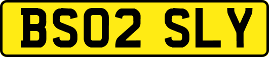 BS02SLY