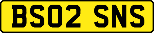 BS02SNS