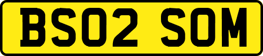 BS02SOM