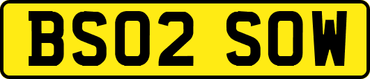 BS02SOW