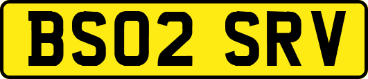 BS02SRV