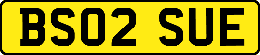 BS02SUE