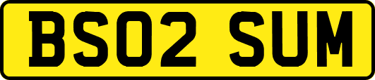 BS02SUM