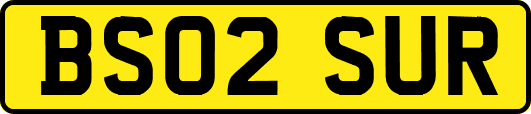BS02SUR