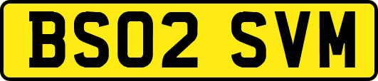 BS02SVM