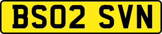 BS02SVN