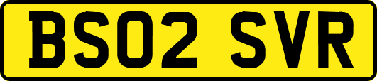 BS02SVR
