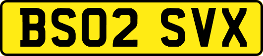 BS02SVX