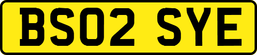 BS02SYE