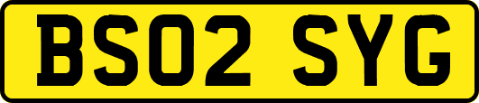 BS02SYG