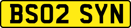 BS02SYN