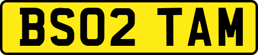 BS02TAM