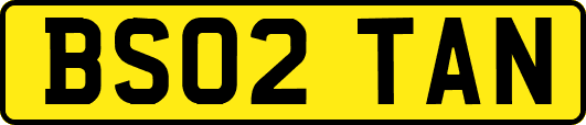 BS02TAN
