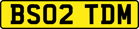 BS02TDM