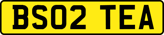 BS02TEA