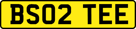 BS02TEE