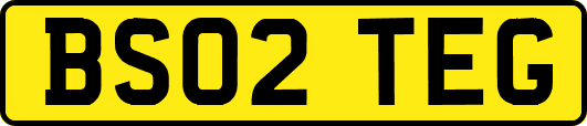 BS02TEG