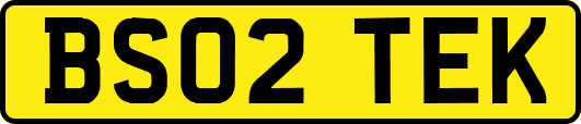 BS02TEK