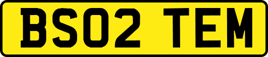 BS02TEM