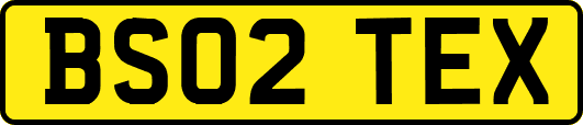BS02TEX