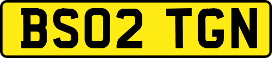BS02TGN