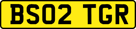 BS02TGR