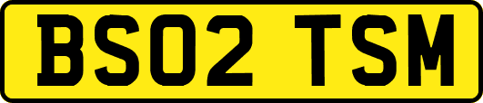 BS02TSM
