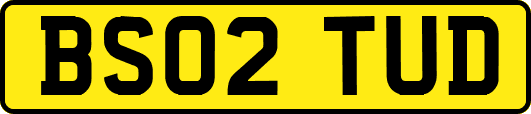 BS02TUD