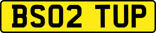 BS02TUP