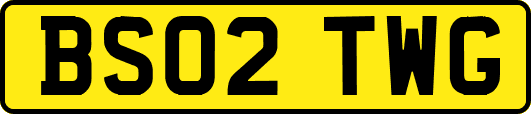 BS02TWG