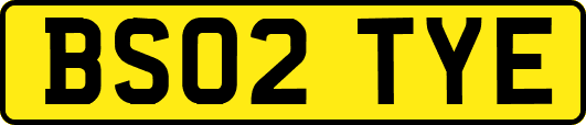 BS02TYE