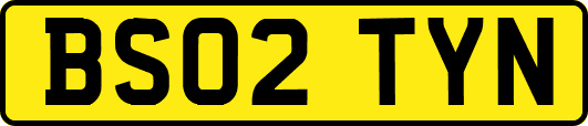 BS02TYN