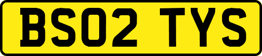 BS02TYS